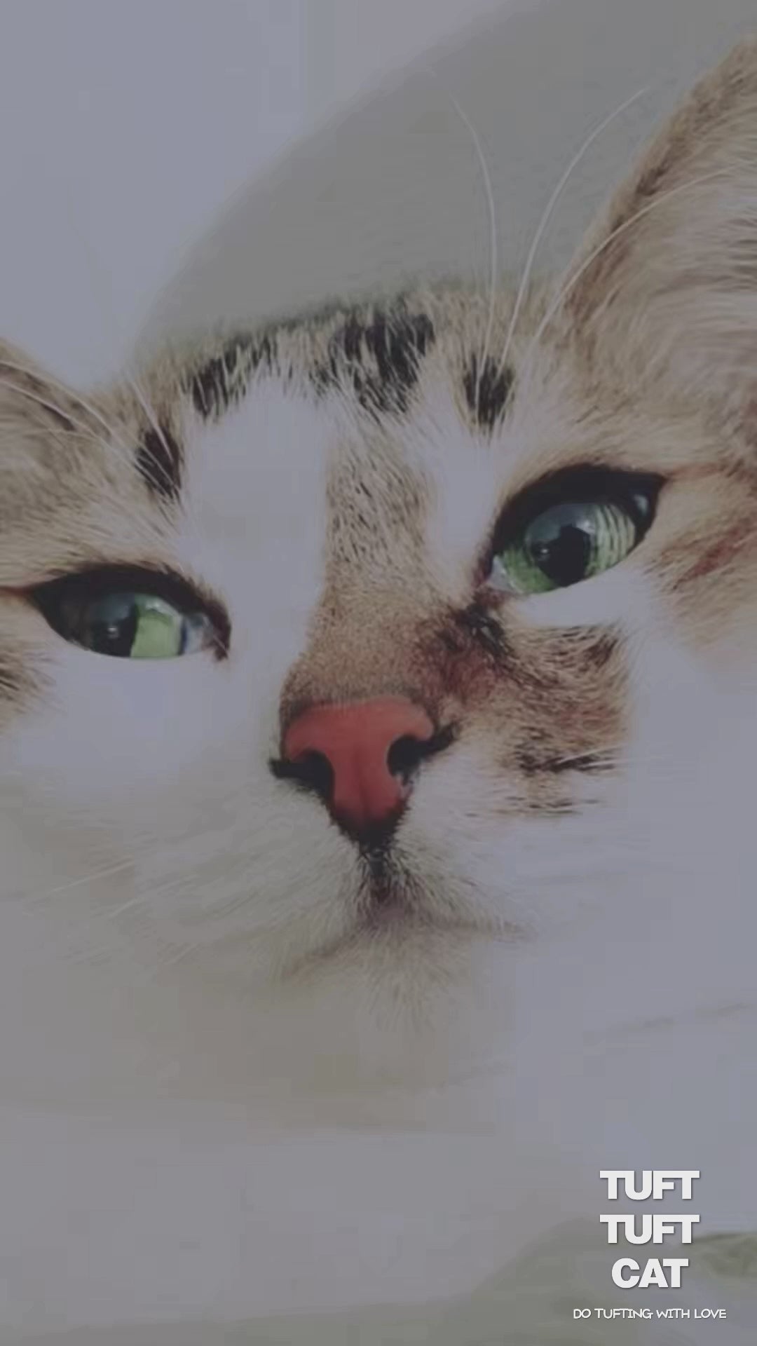 MY PET COLLECTION 寫實風 寵物地毯特厚手作地毯  客制化  (貓CAT)